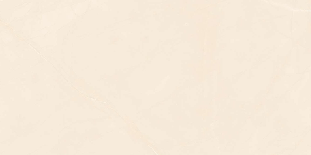 Gạch Viglacera 60x120 CLGP-61208