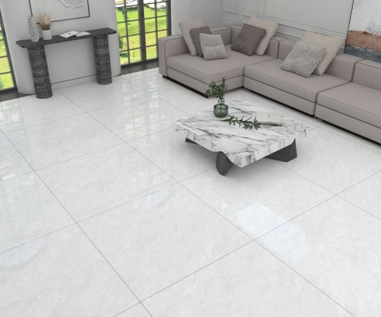 GẠCH PORCELAIN KHÁNG KHUẨN 100DONGVAN001-FP-H+