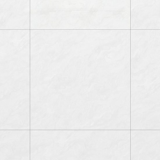 GẠCH PORCELAIN KHÁNG KHUẨN 100DONGVAN001-FP-H+