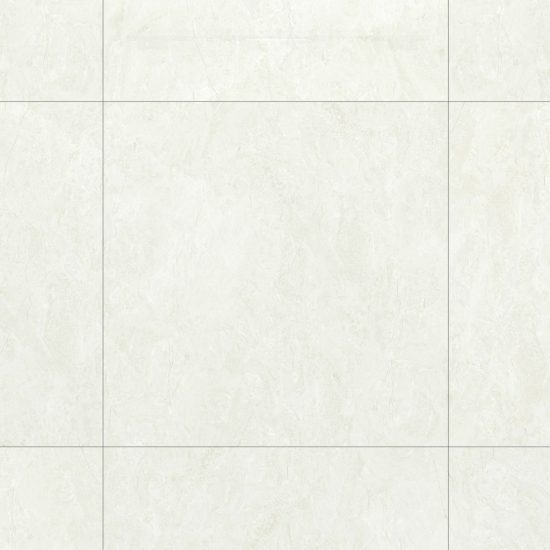 GẠCH PORCELAIN KHÁNG KHUẨN 100DONGVAN002-FP-H+