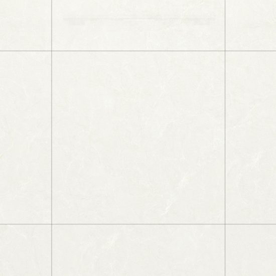 GẠCH PORCELAIN KHÁNG KHUẨN 100DONGVAN003-FP-H+