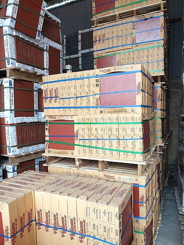 Gạch lát cotto Viglacera Hà Nội D415