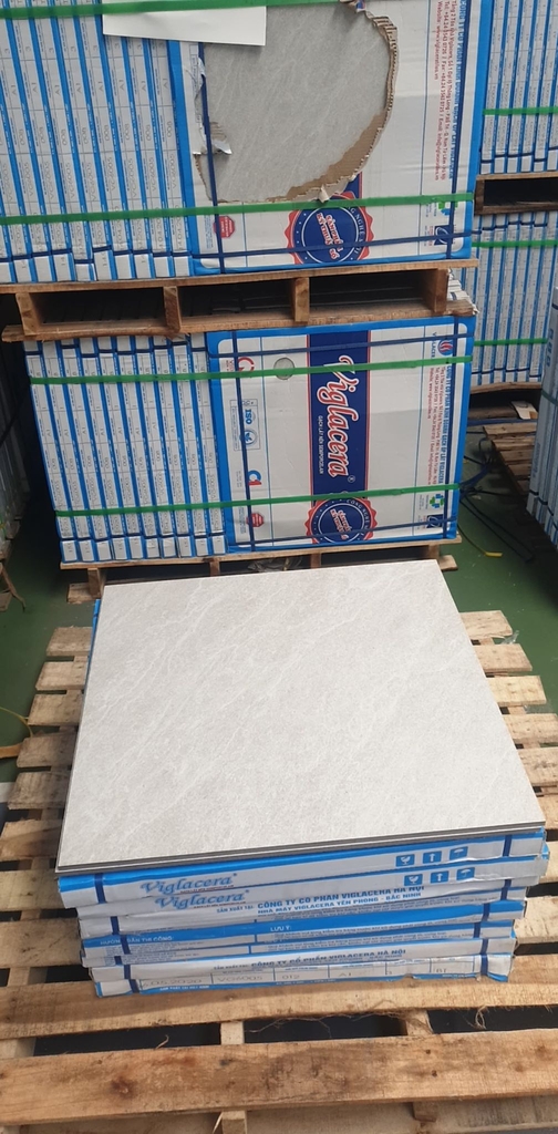 Gạch bán sứ 60x60cm Viglacera VG 6005