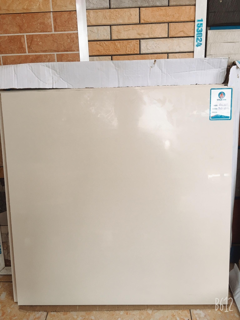 Gạch Granite 2 da 60x60 Viglacera TS5-601