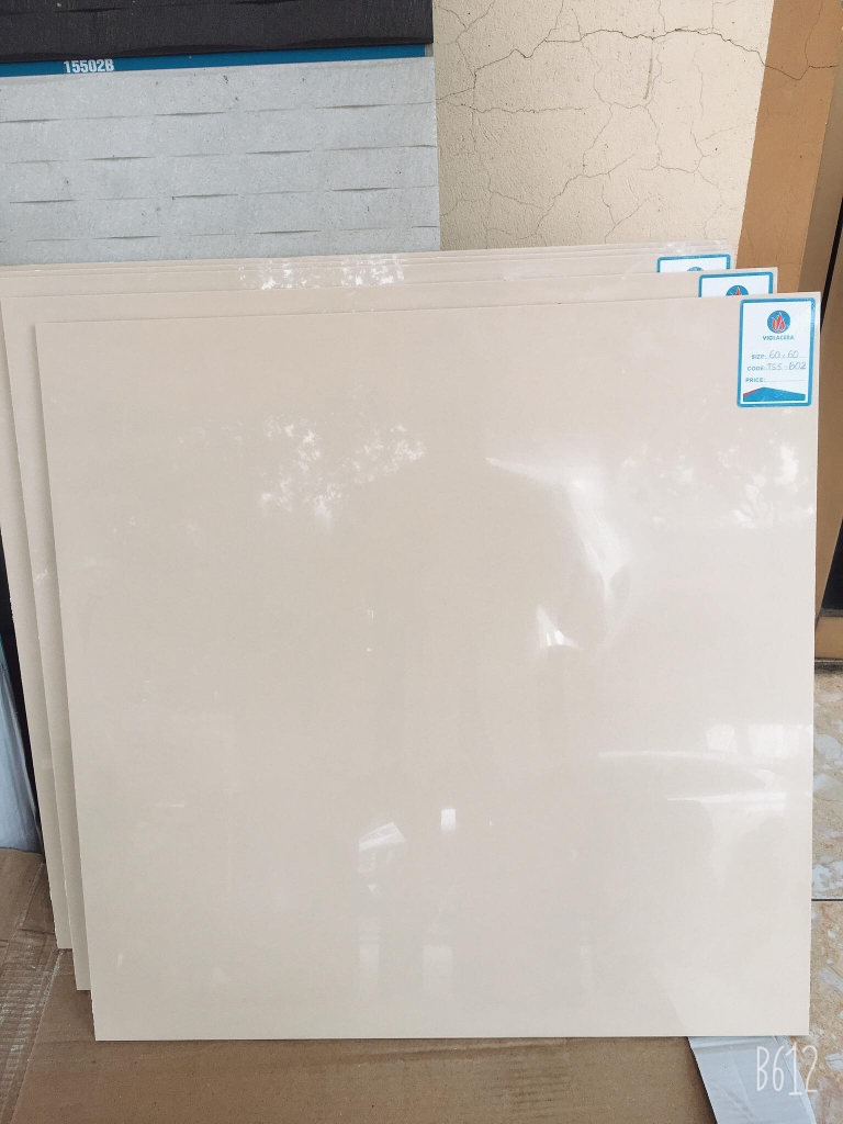 Gạch Granite 2 da 60x60 Viglacera TS5-602