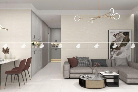 Gạch Đồng Tâm 30x60cm CLOUD009