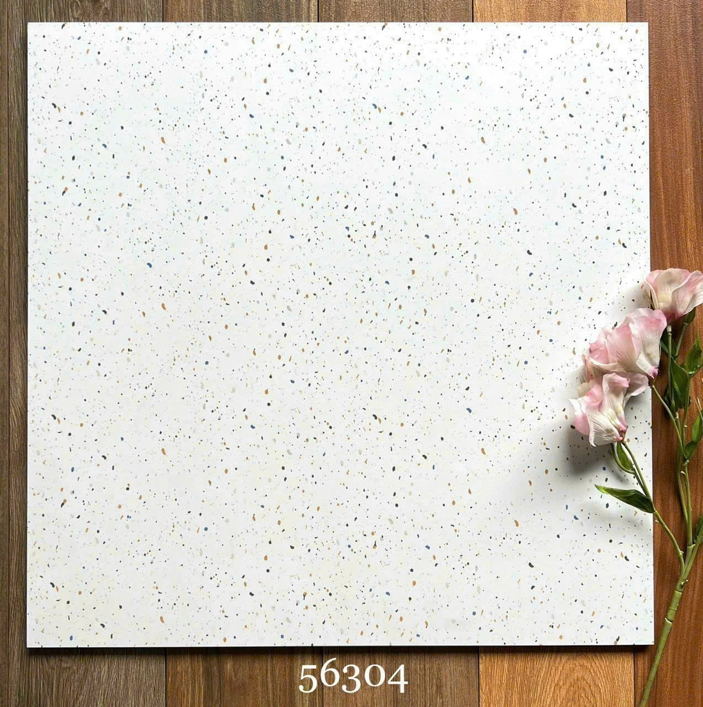 Gạch lát 60x60 men matt 56304
