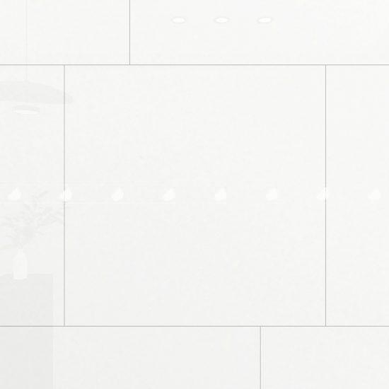 GẠCH PORCELAIN KHÁNG KHUẨN 8080SNOW001-FP-H+