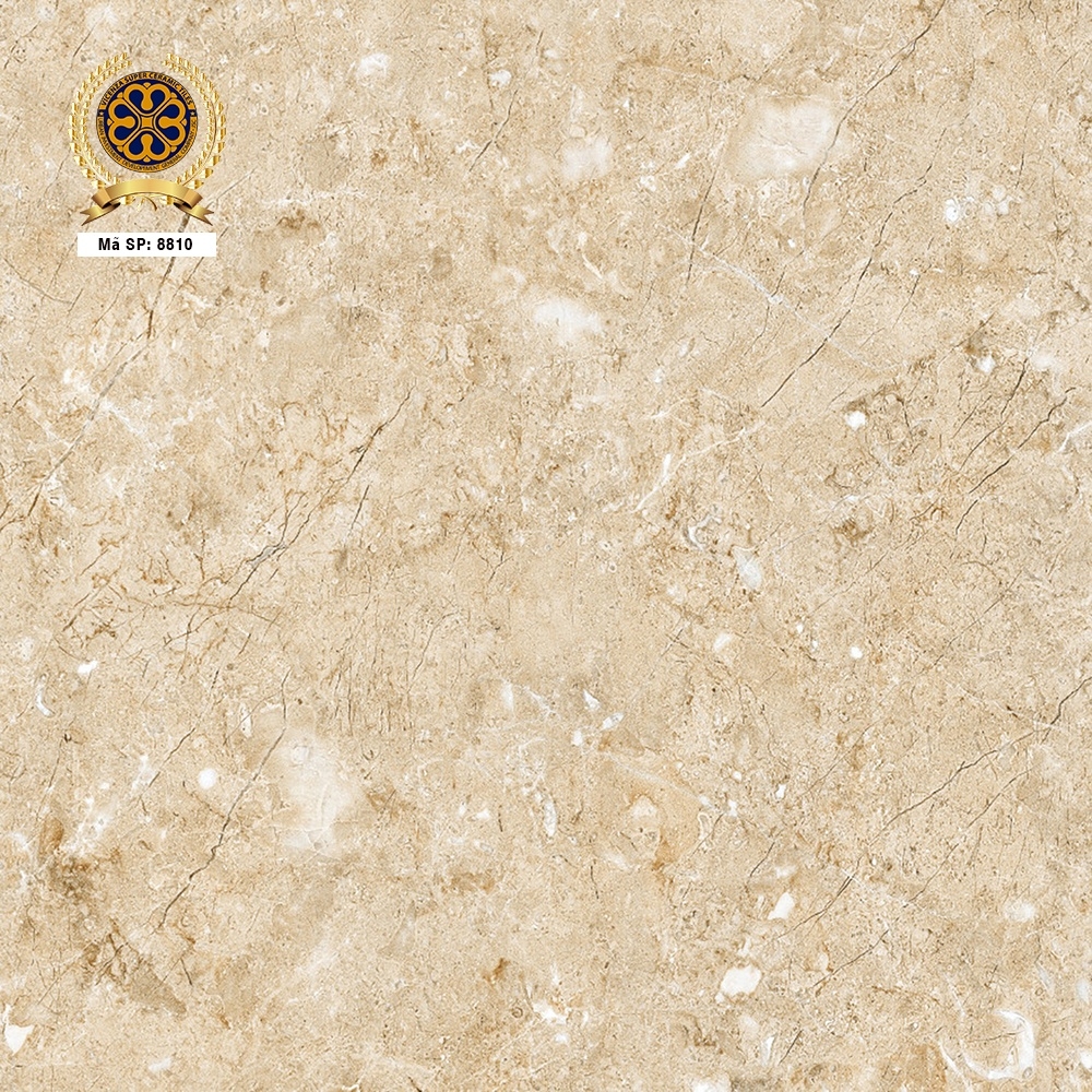 Gạch lát nền 80x80 VC8810
