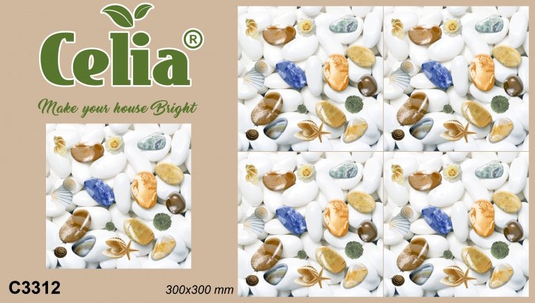 C3312 Gạch lát vệ sinh