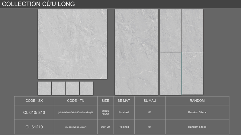 Gạch Viglacera 60x60 CLGP-610