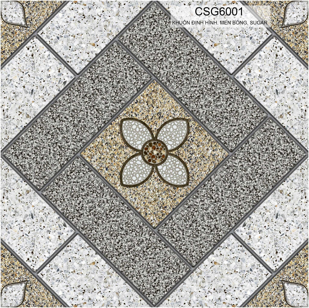 Gạch lát sân vườn CSG6001