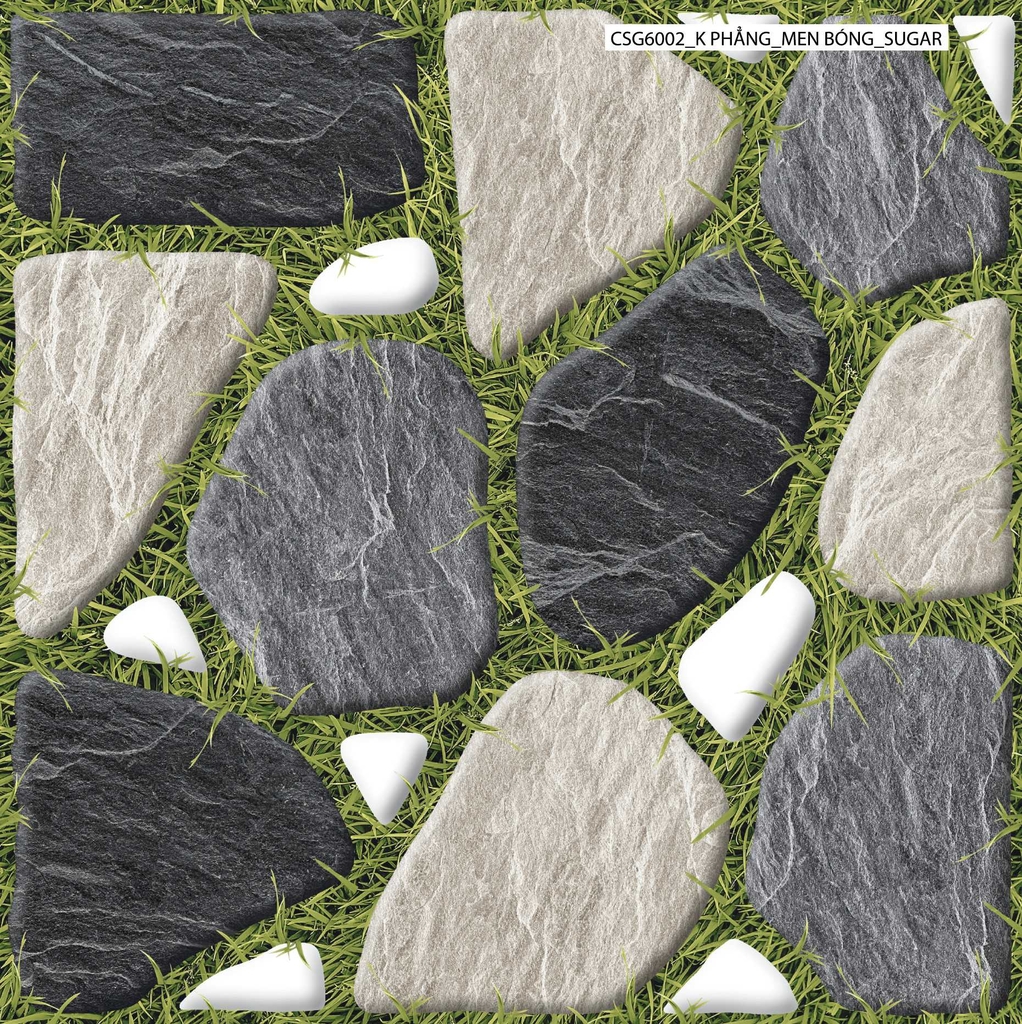 Gạch lát sân vườn 60x60 CSG6002