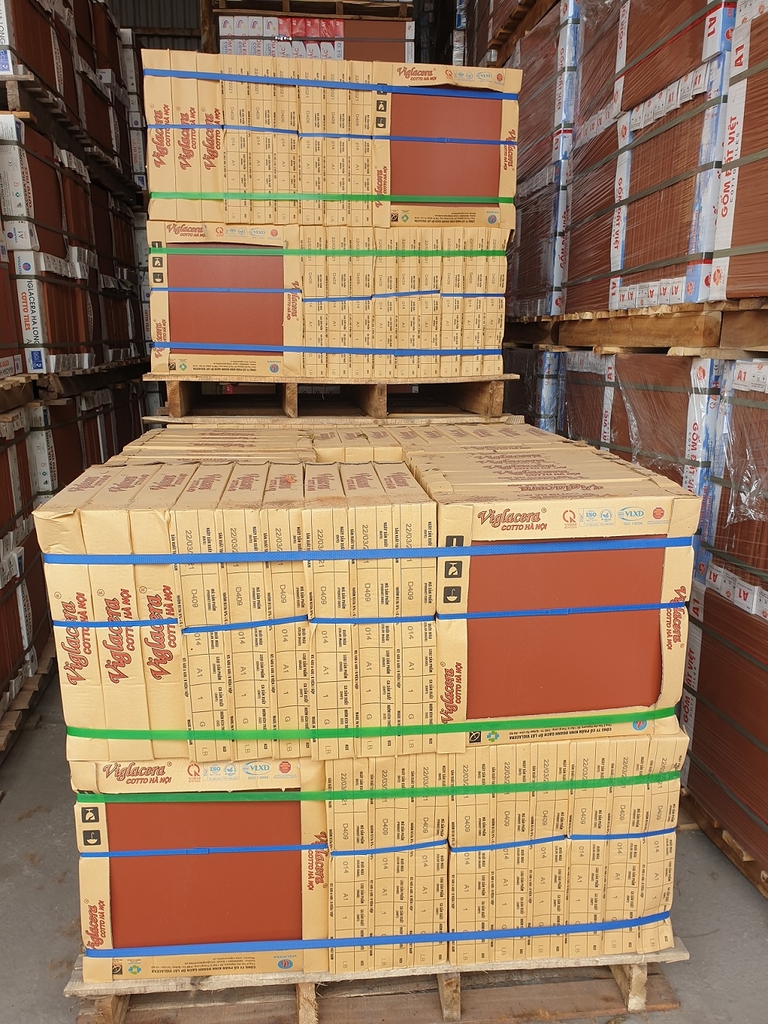 Gạch lát cotto Viglacera Hà Nội D409