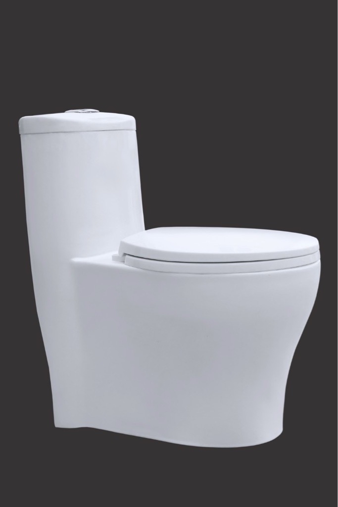 BỒN CẦU LIỀN KHỐI ASARO - 901