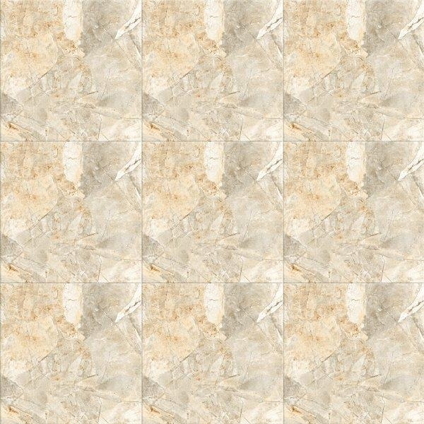 Gạch Viglacera 50x50 HH 502