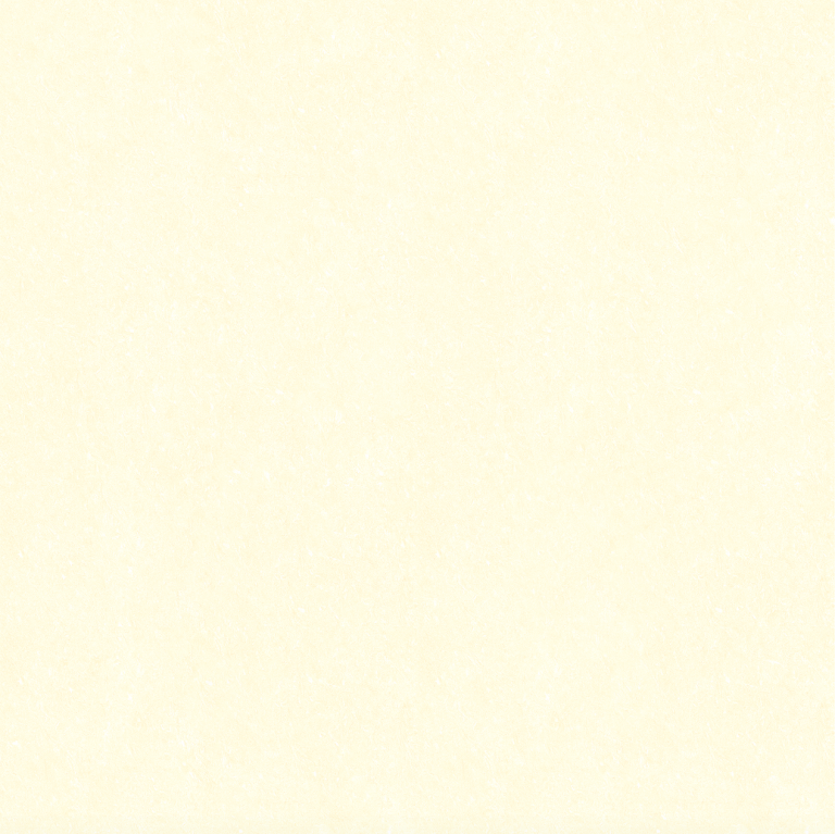 L6010 Gạch lát sàn