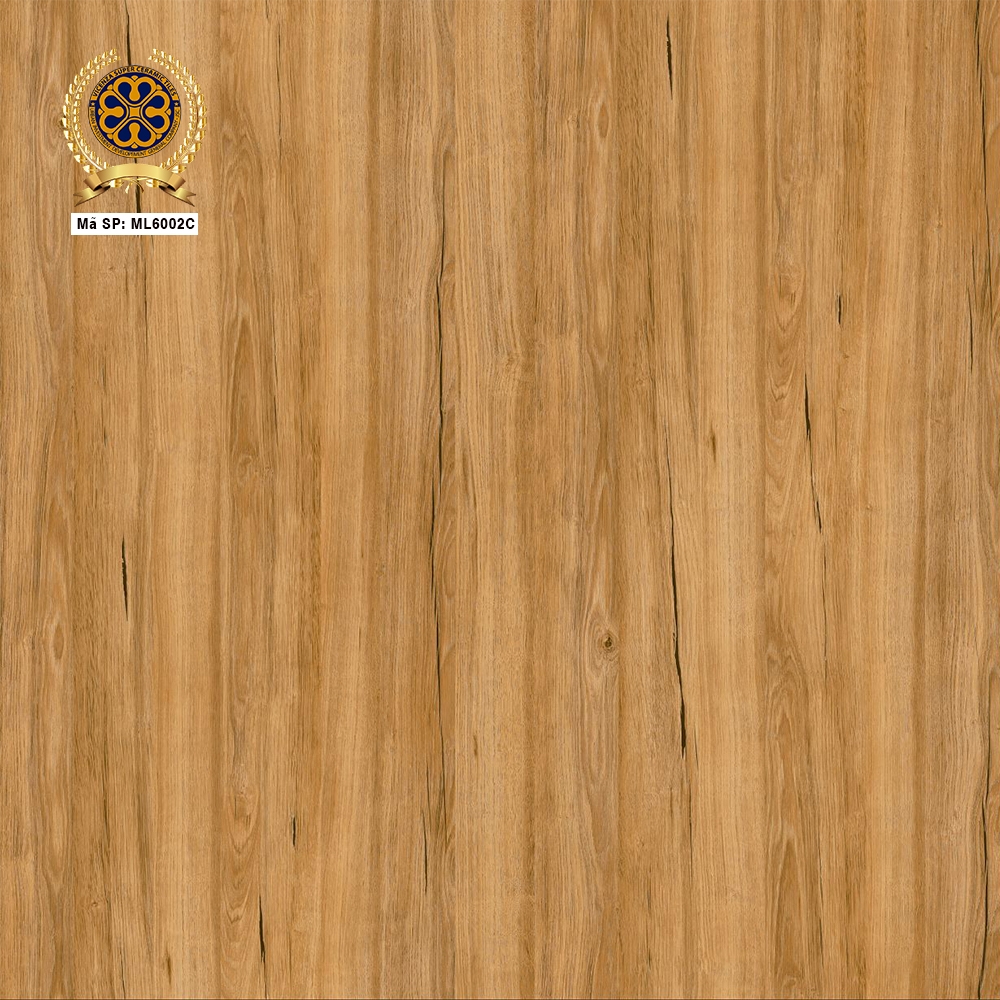 Gạch lát nền 60x60cm ML6002C