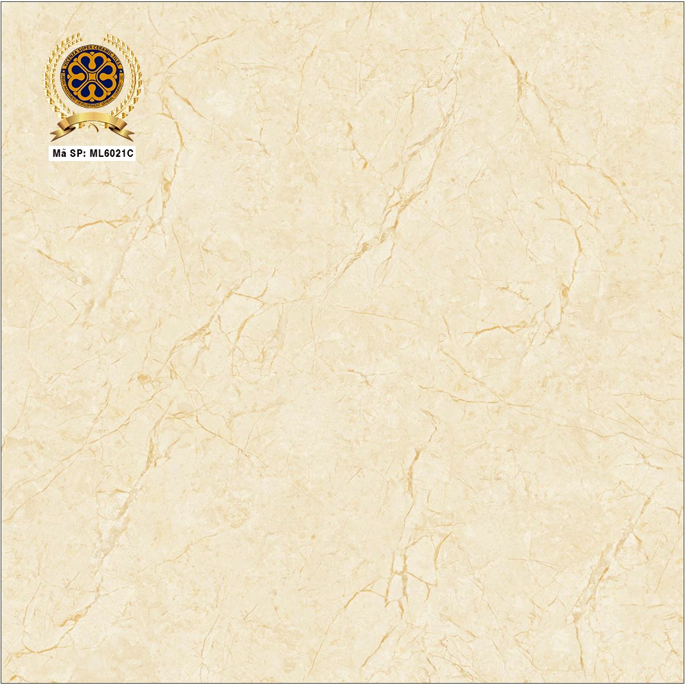Gạch lát nền 60x60cm ML6021C