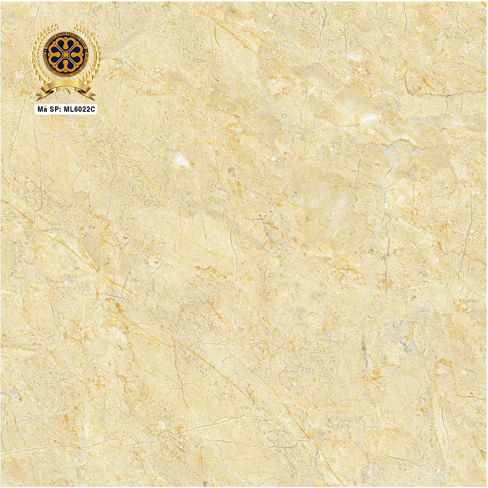 Gạch lát nền 60x60cm ML6022C