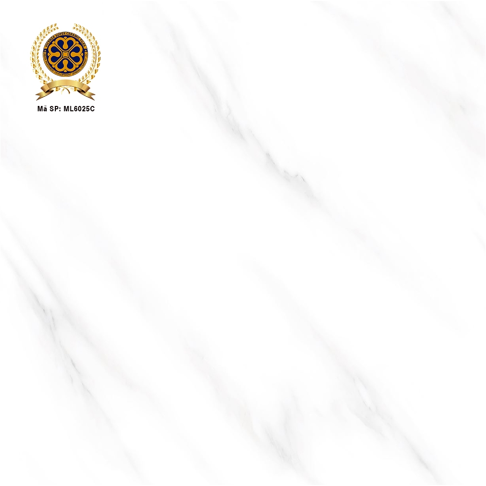 Gạch lát nền 60x60cm ML6025C