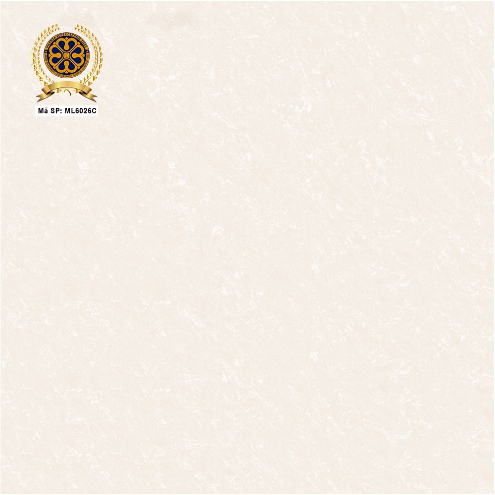 Gạch lát nền 60x60cm ML6026C
