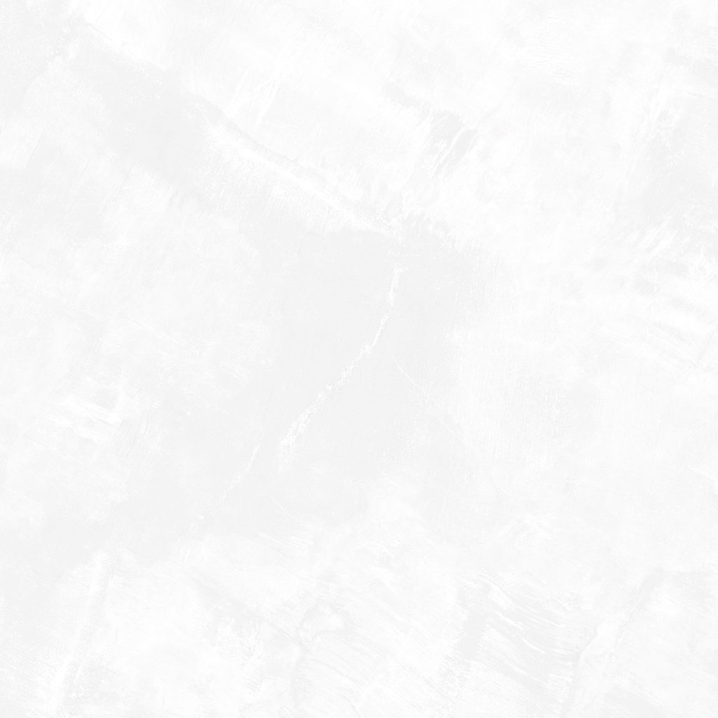 Gạch eurotile SIG. DNI E01