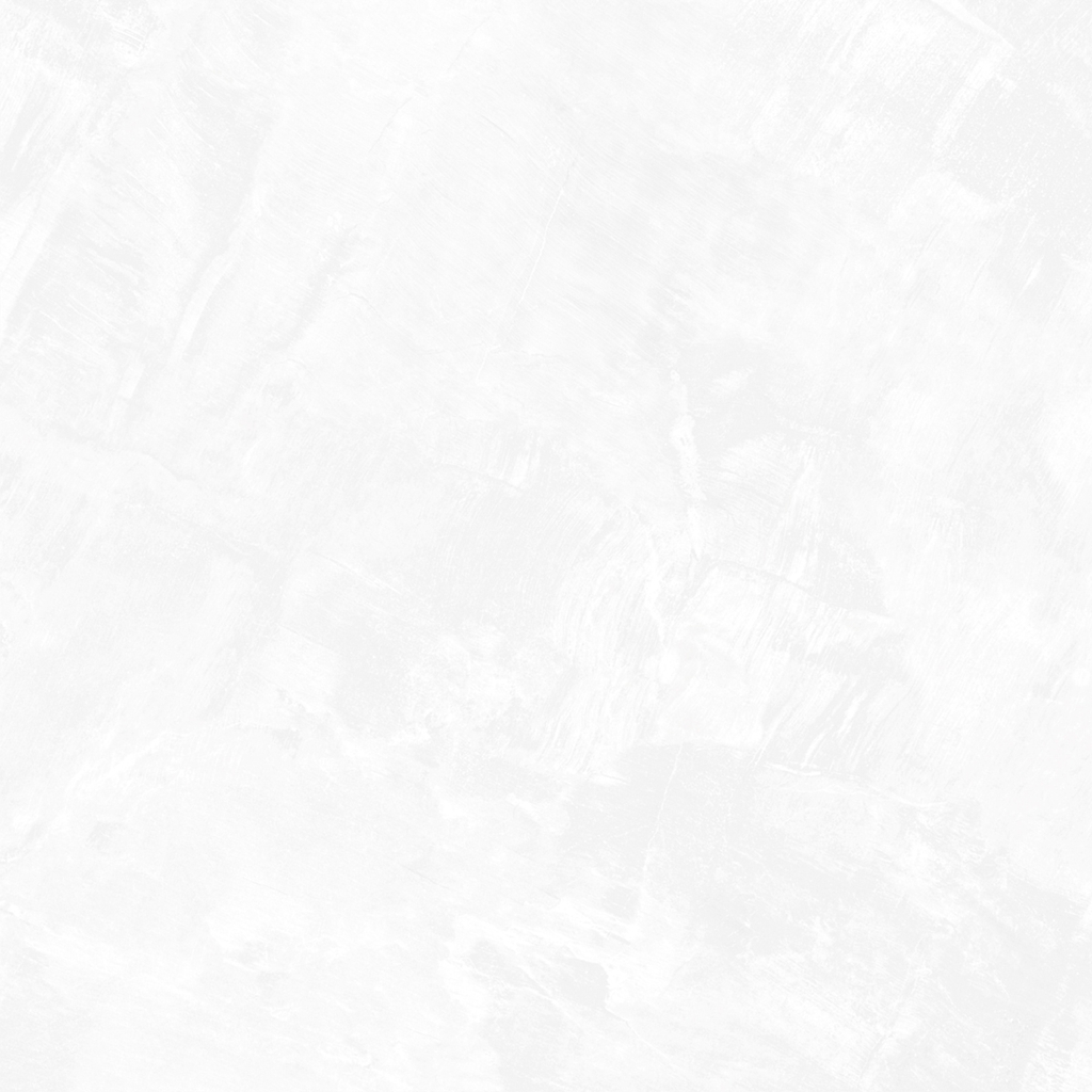 Gạch eurotile SIG. DNI E01