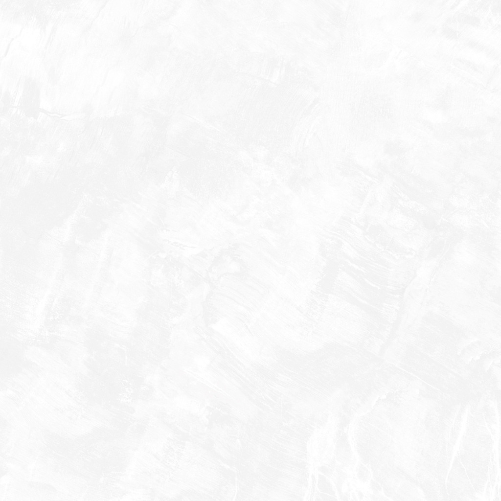 Gạch eurotile SIG. DNI E01