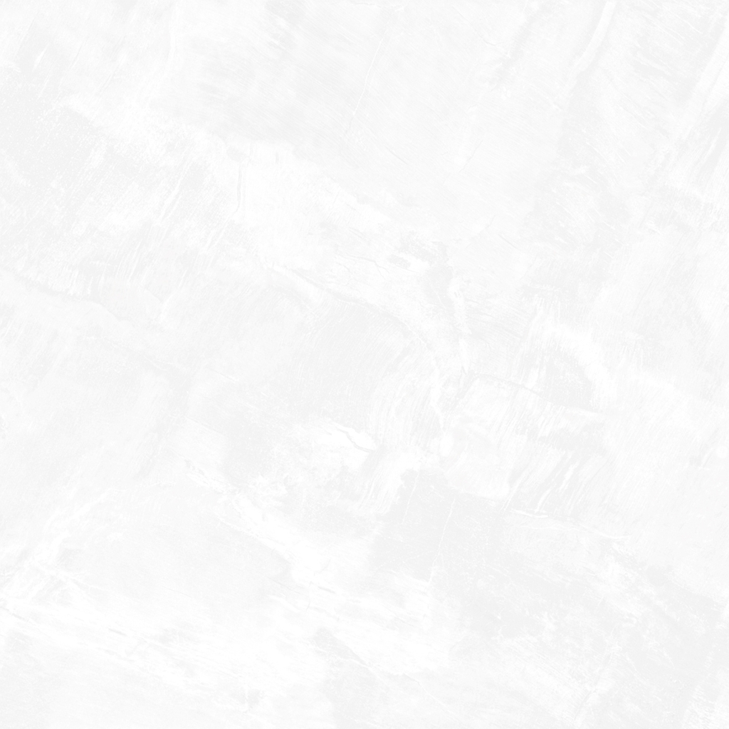 Gạch eurotile SIG. DNI E01