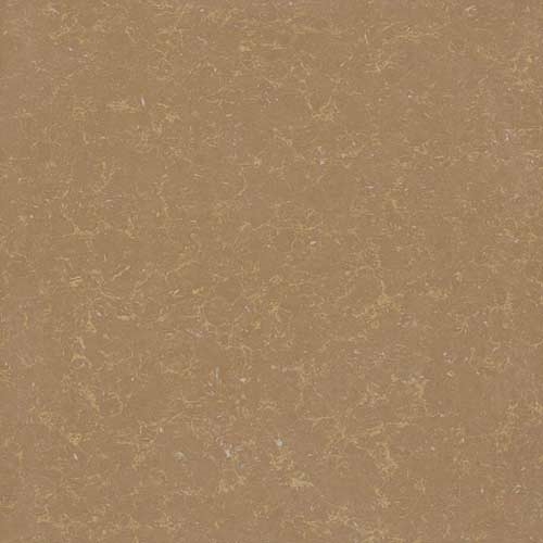 Gạch Viglacera 80x80 TS2 810