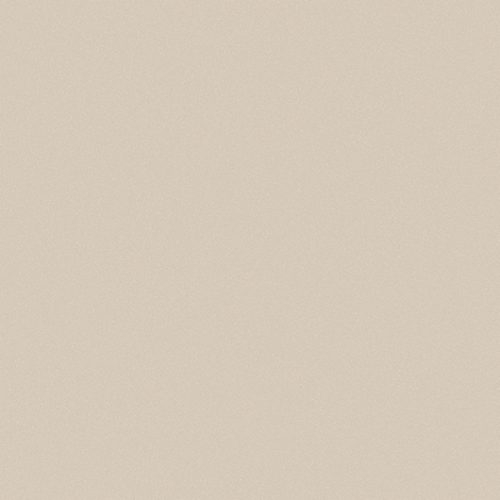 Gạch Viglacera 60x60 TS5 601