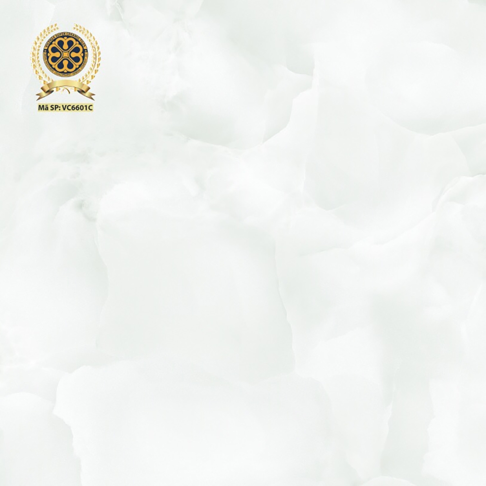 Gạch lát nền 60x60cm VC6601C