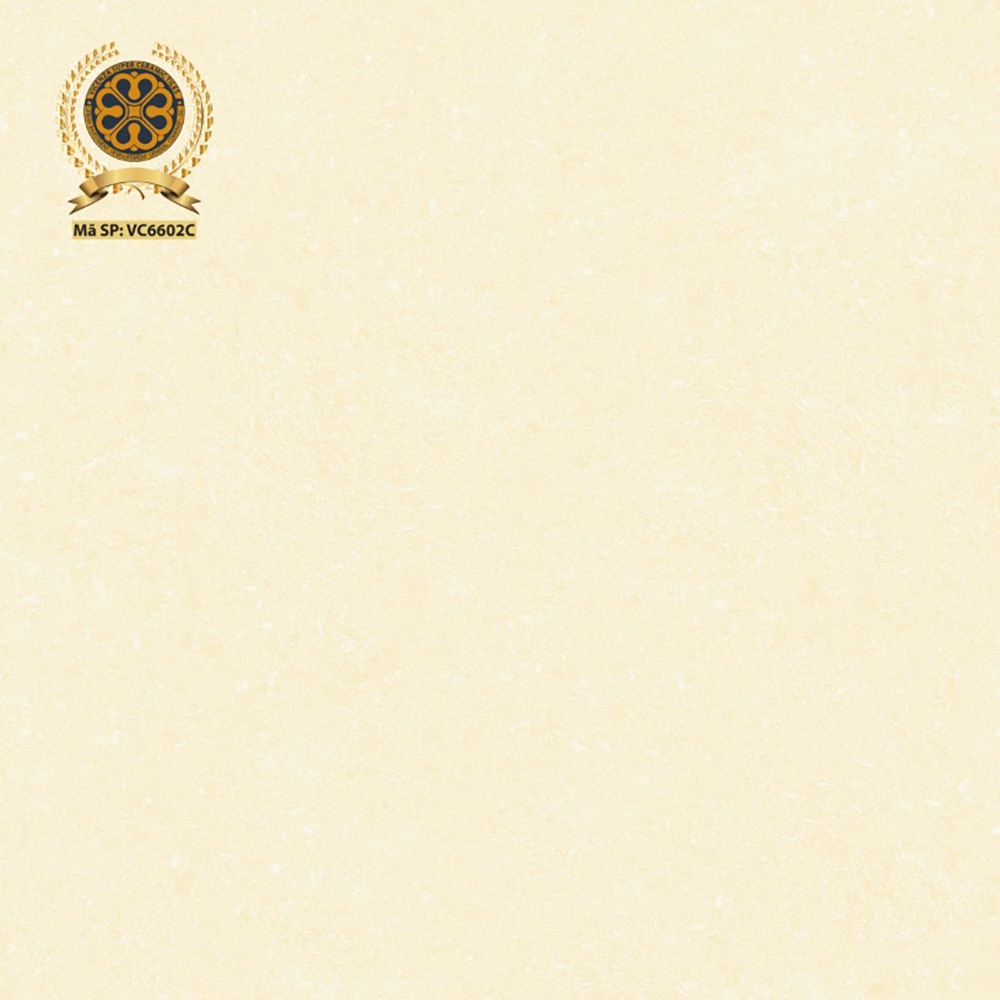 Gạch lát nền 60x60cm VC6602C