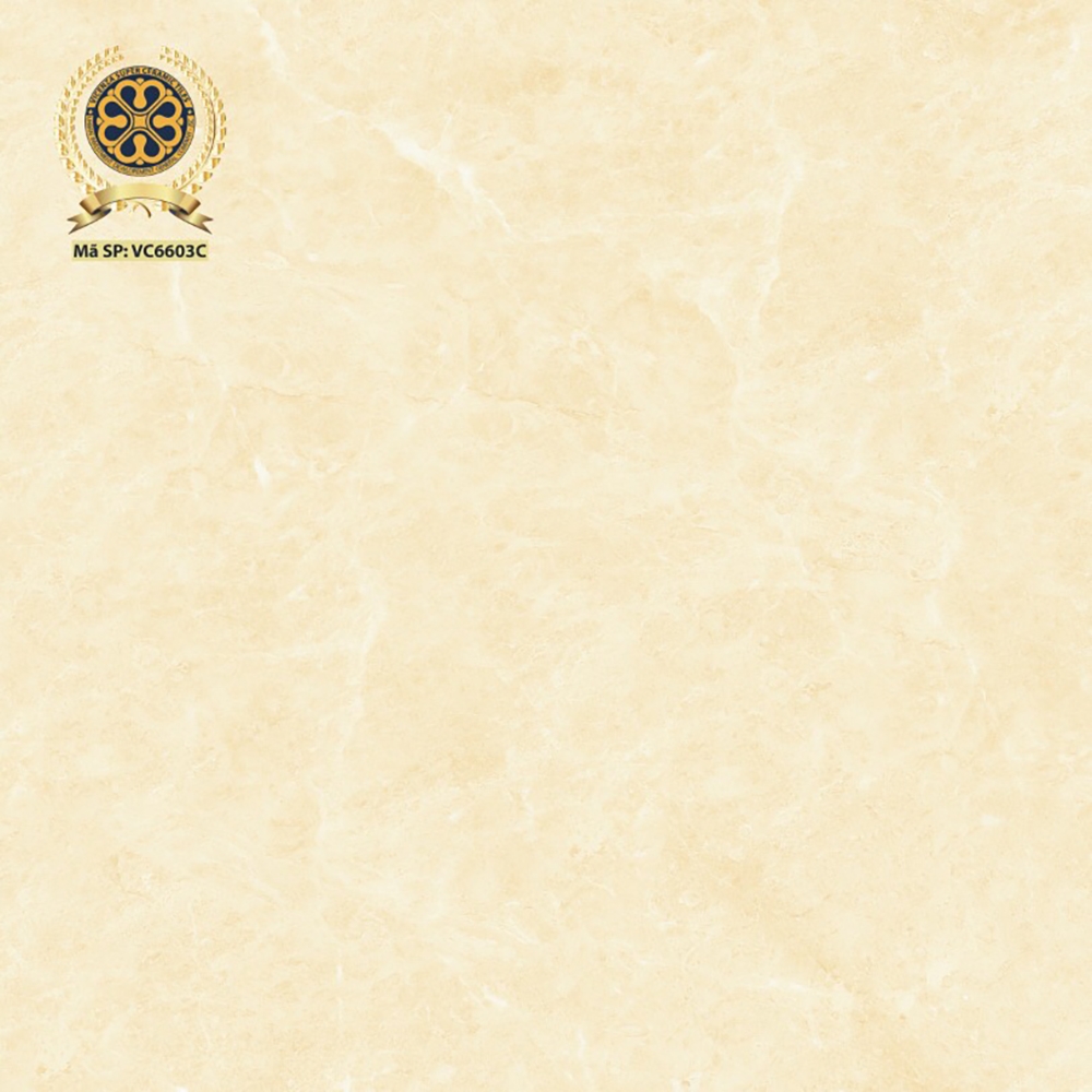 Gạch lát nền 60x60cm VC6603C