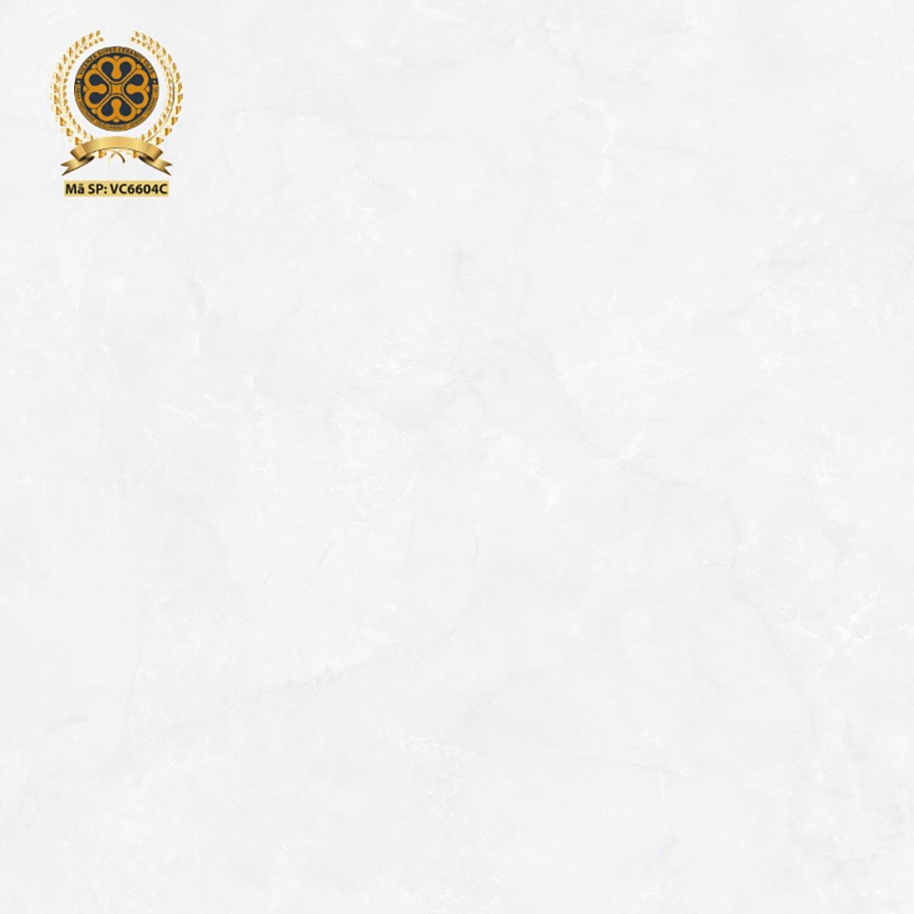Gạch lát nền 60x60cm VC6604C