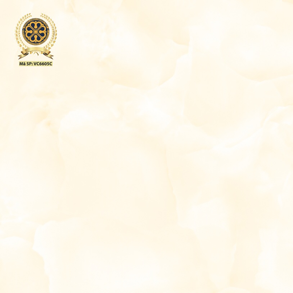 Gạch lát nền 60x60cm VC6605C