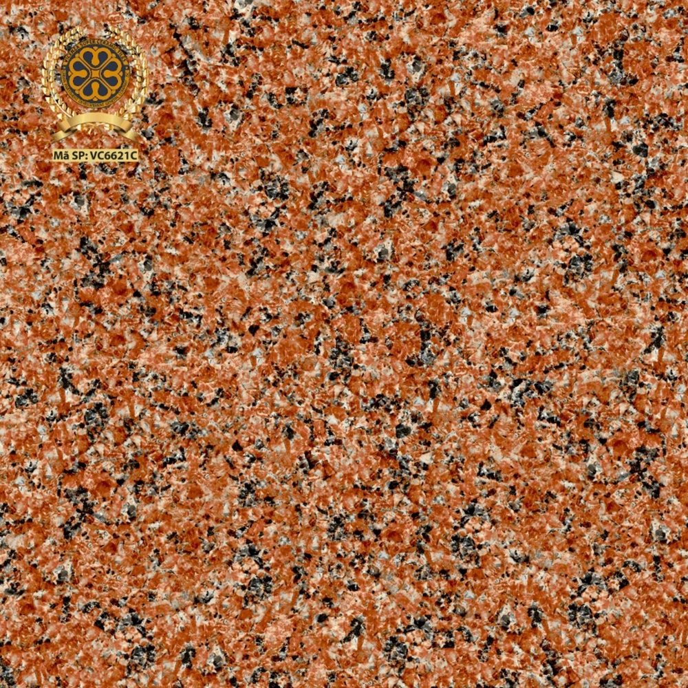 Gạch lát nền 60x60cm VC6621C