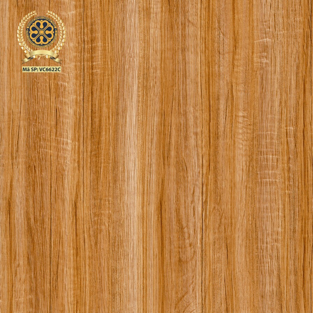Gạch lát nền 60x60cm VC6622C