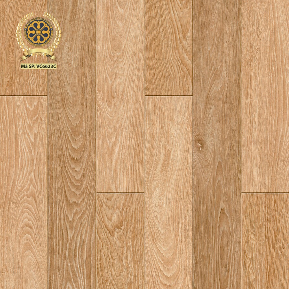 Gạch lát nền 60x60cm VC6623C
