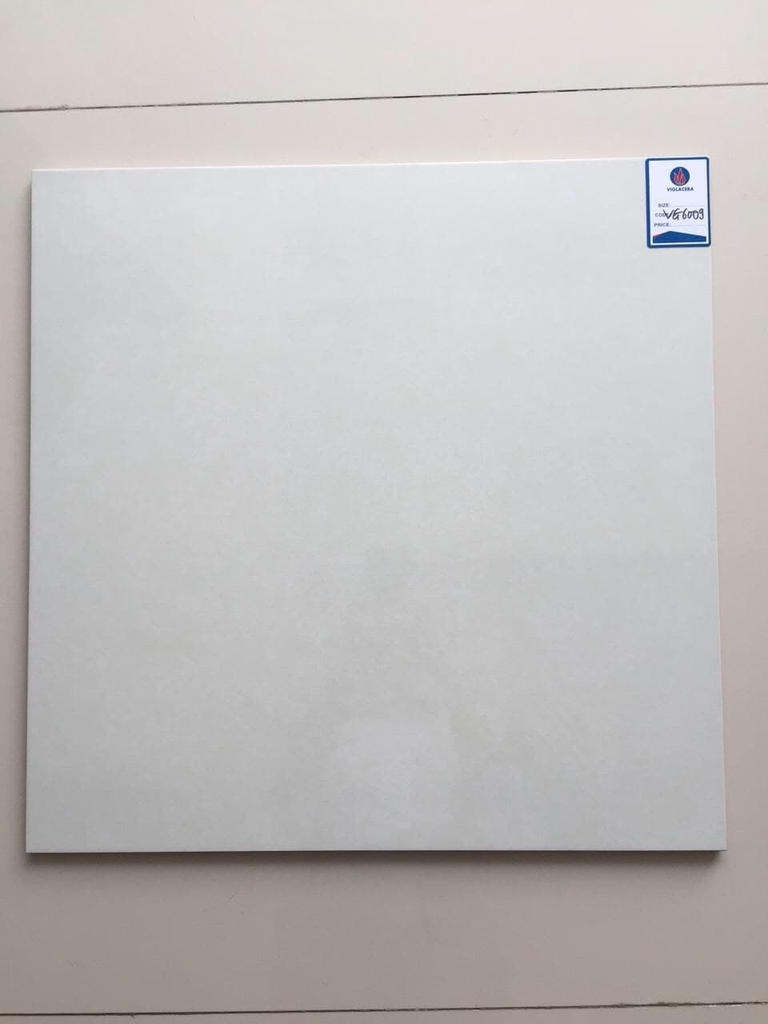 Gạch bán sứ 60x60cm Viglacera VG 6009