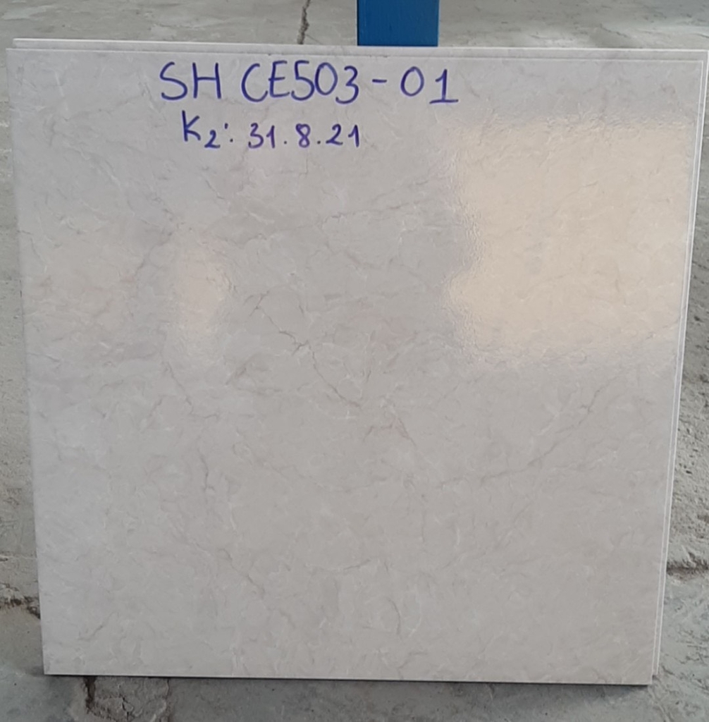 Gạch Viglacera 50x50 SH - CE 503