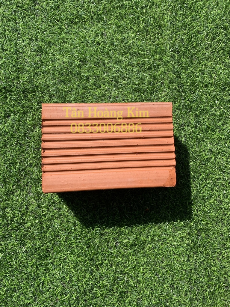 Gạch 6 lỗ vuông