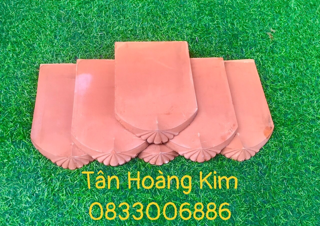 Ngói hài cổ Viglacera Đông Anh