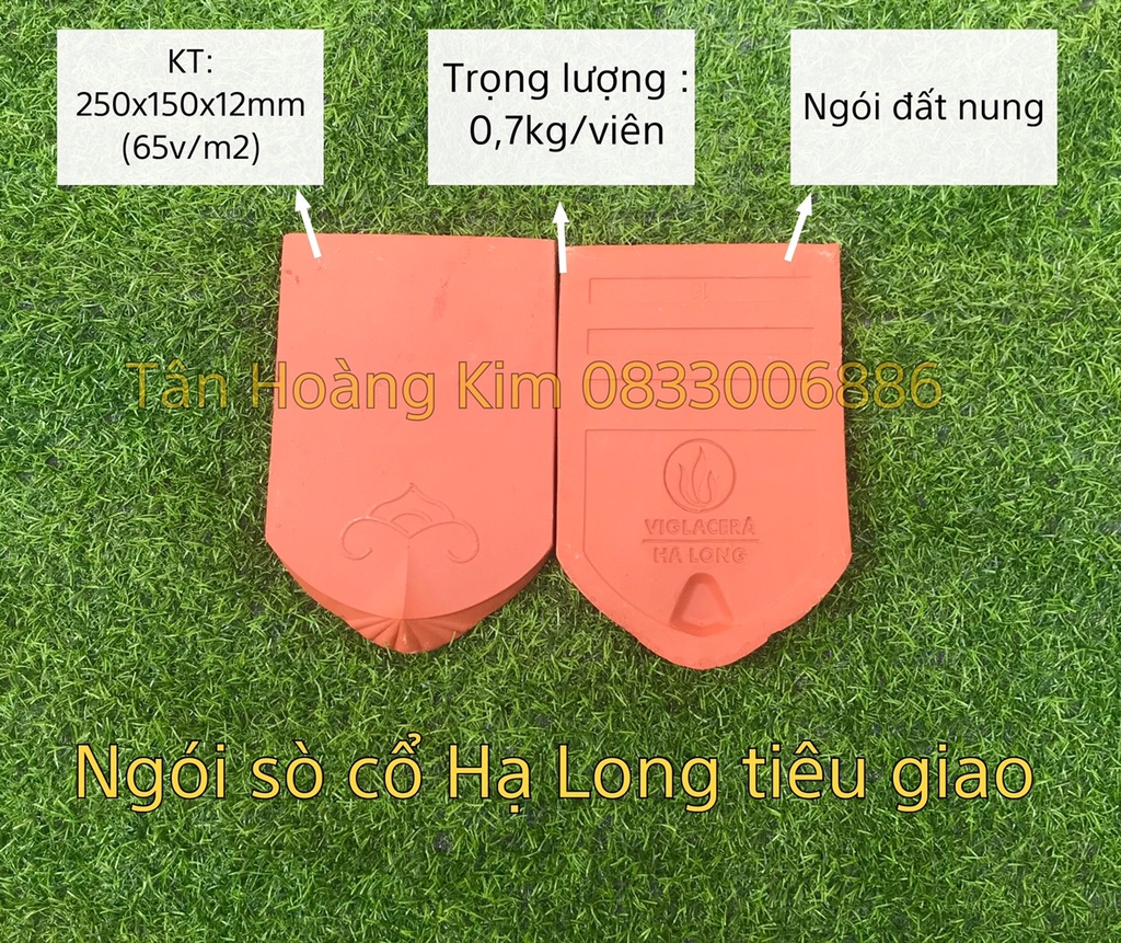 Ngói hài cổ Viglacera Hạ Long Tiêu Giao