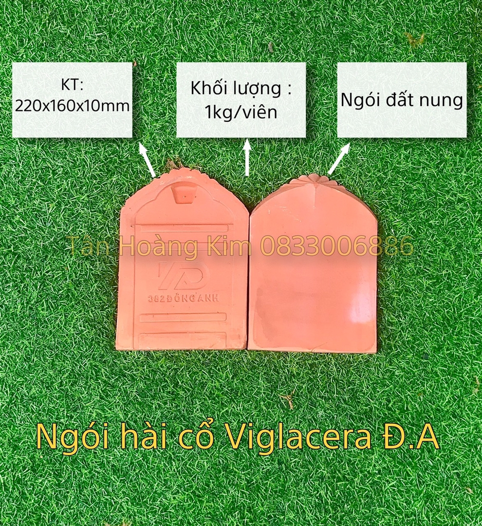 Ngói hài cổ Viglacera Đông Anh