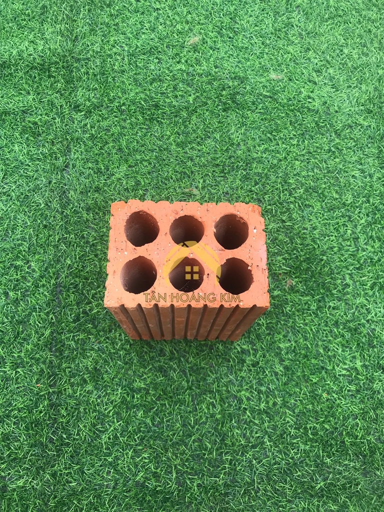 Gạch 6 lỗ tròn Viglacera