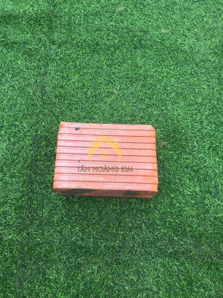 Gạch 6 lỗ tròn Viglacera