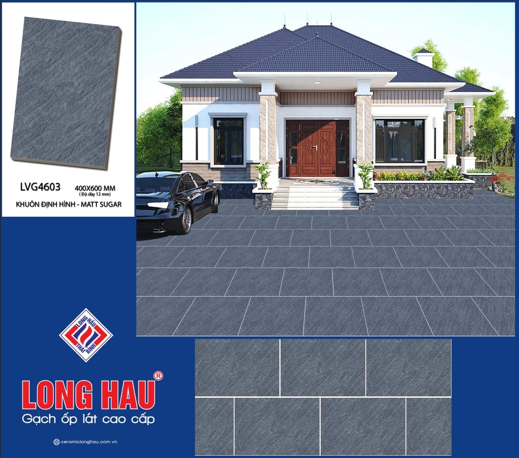 Gạch lát sân vườn 40x60 LVG4603