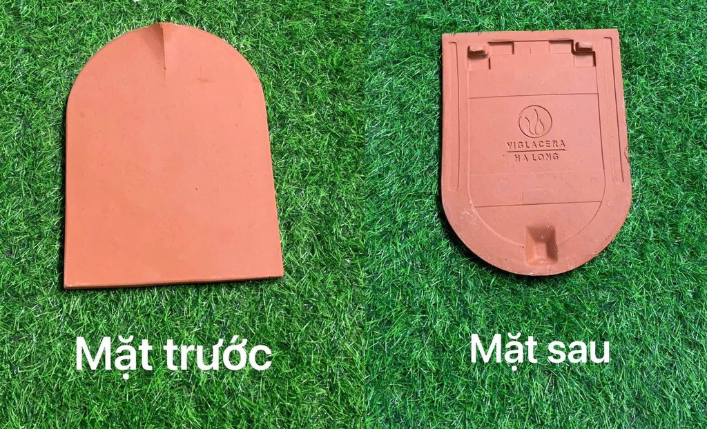 Ngói mũi hài 270 Viglacera Hạ Long